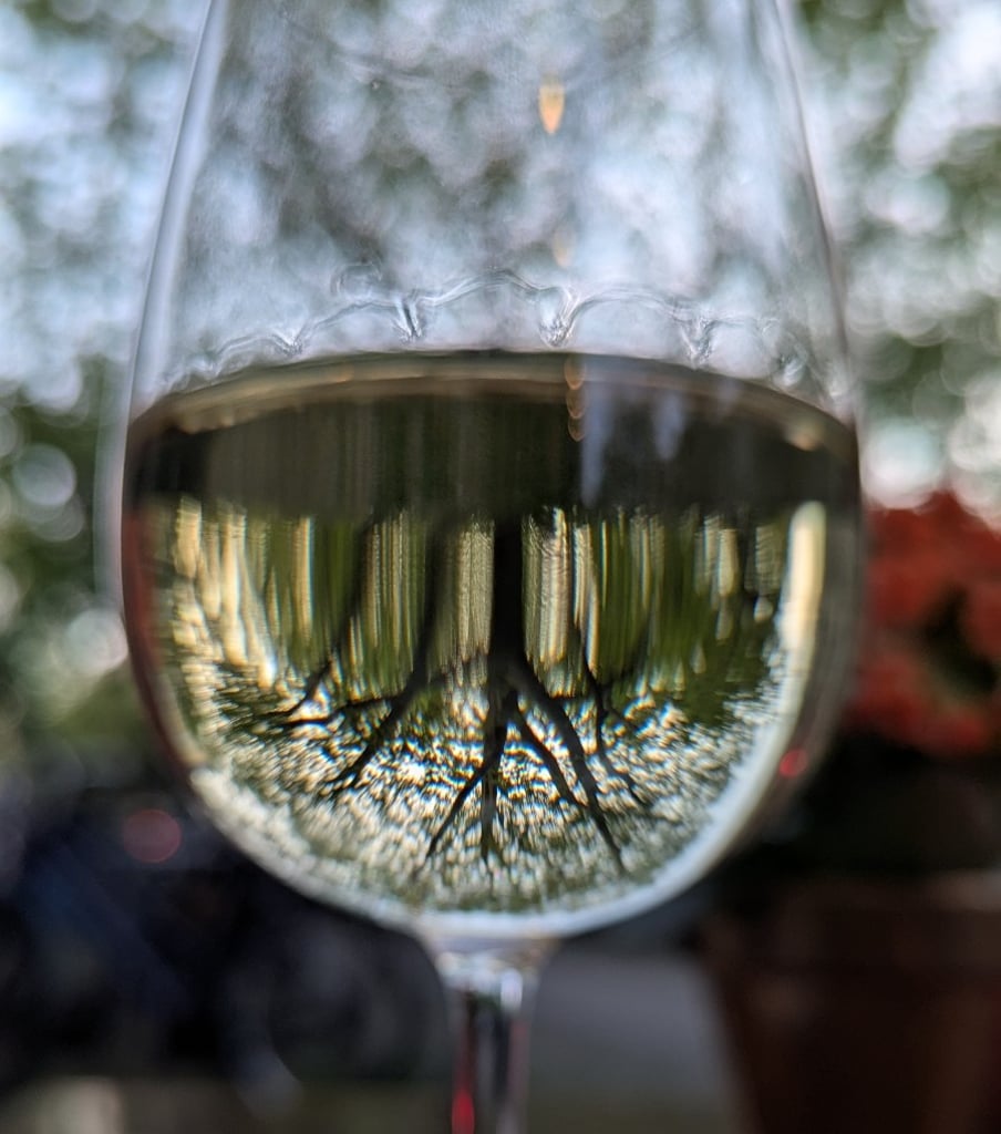 Wine
